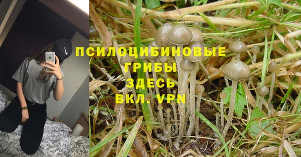таблы Волосово